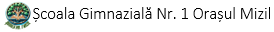 Scoala gimnaziala nr 1 Mizil Prahova